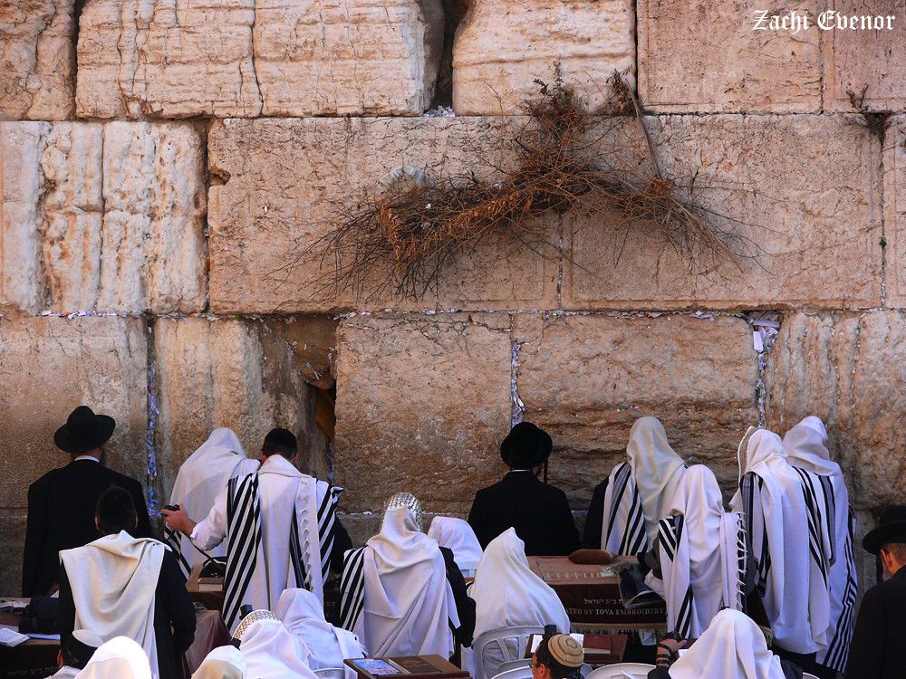 But You Are Not To Be Called "Rabbi"