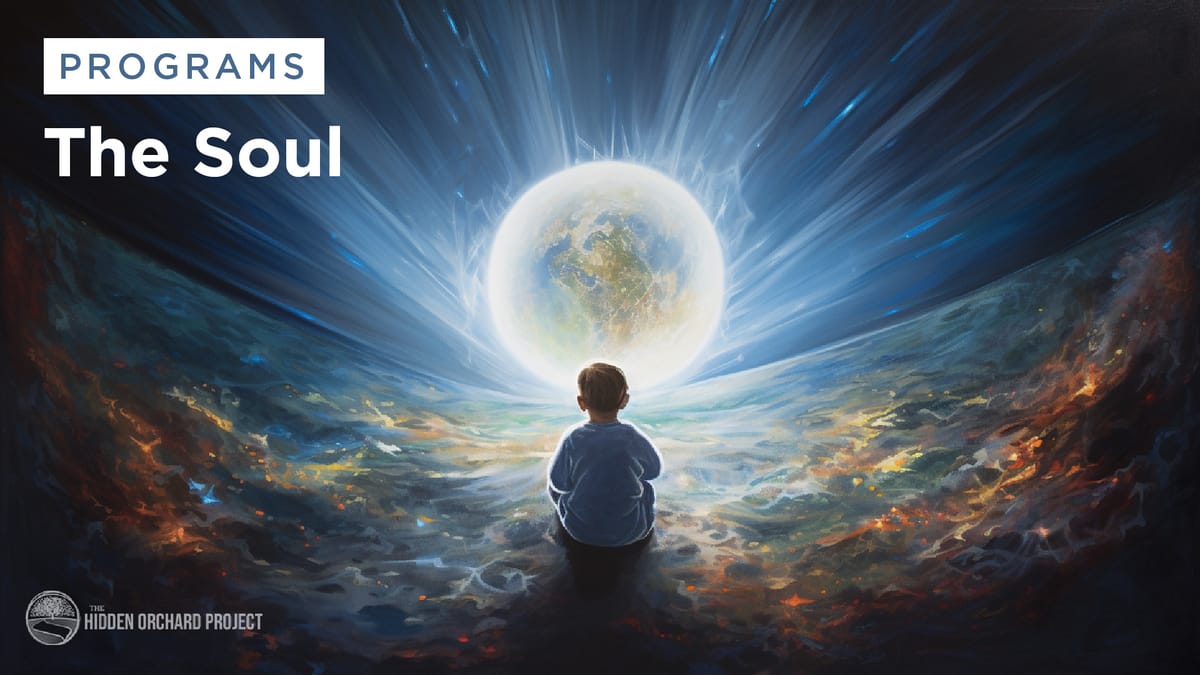 The Soul - Program