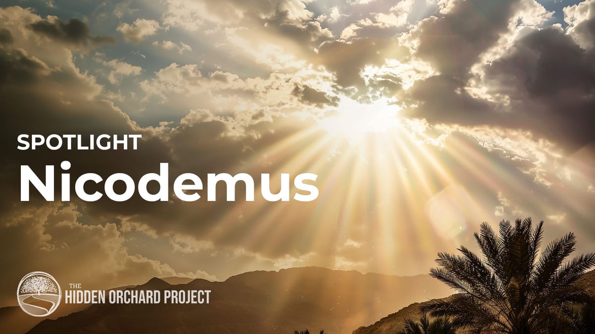 Spotlight: Nicodemus