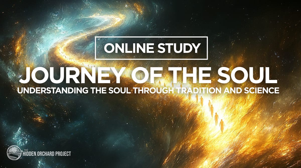Live Online Study - The Journey of the Soul