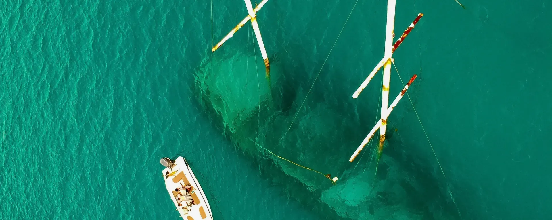 We're All In This Together