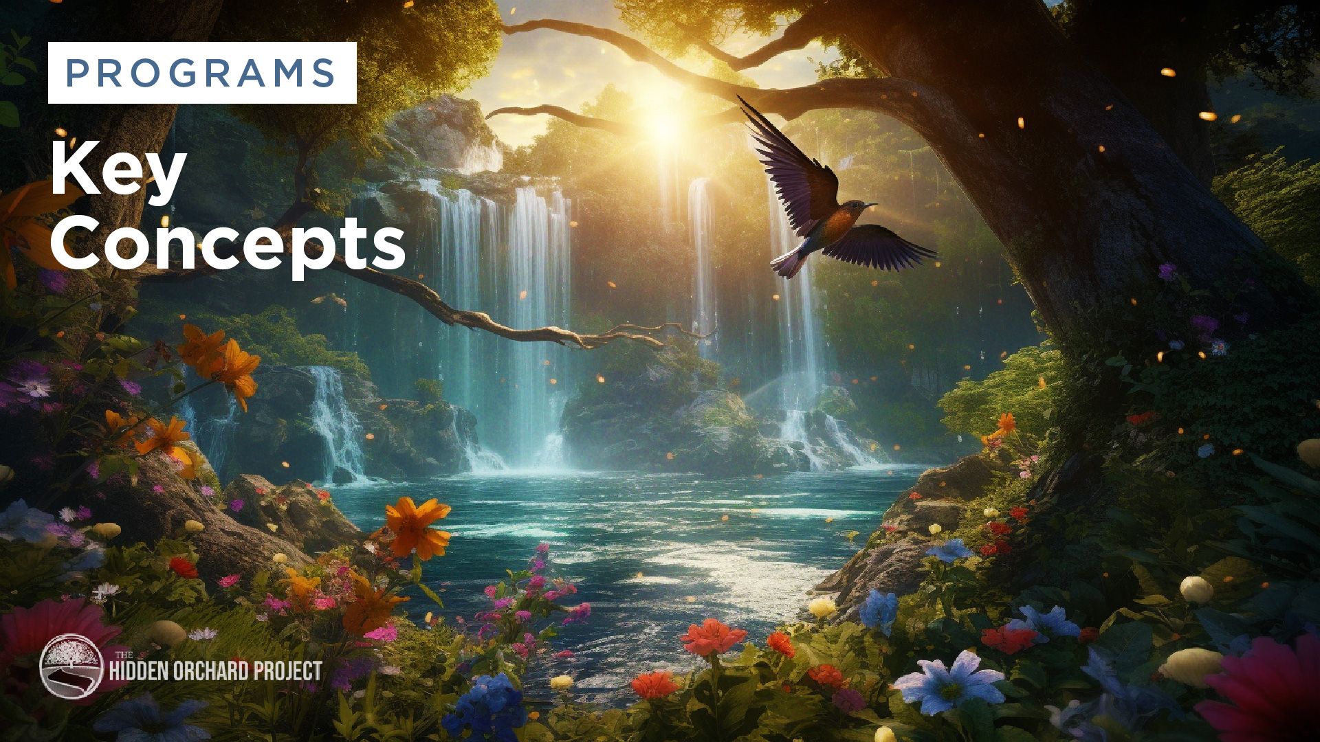 Key Concepts - Program