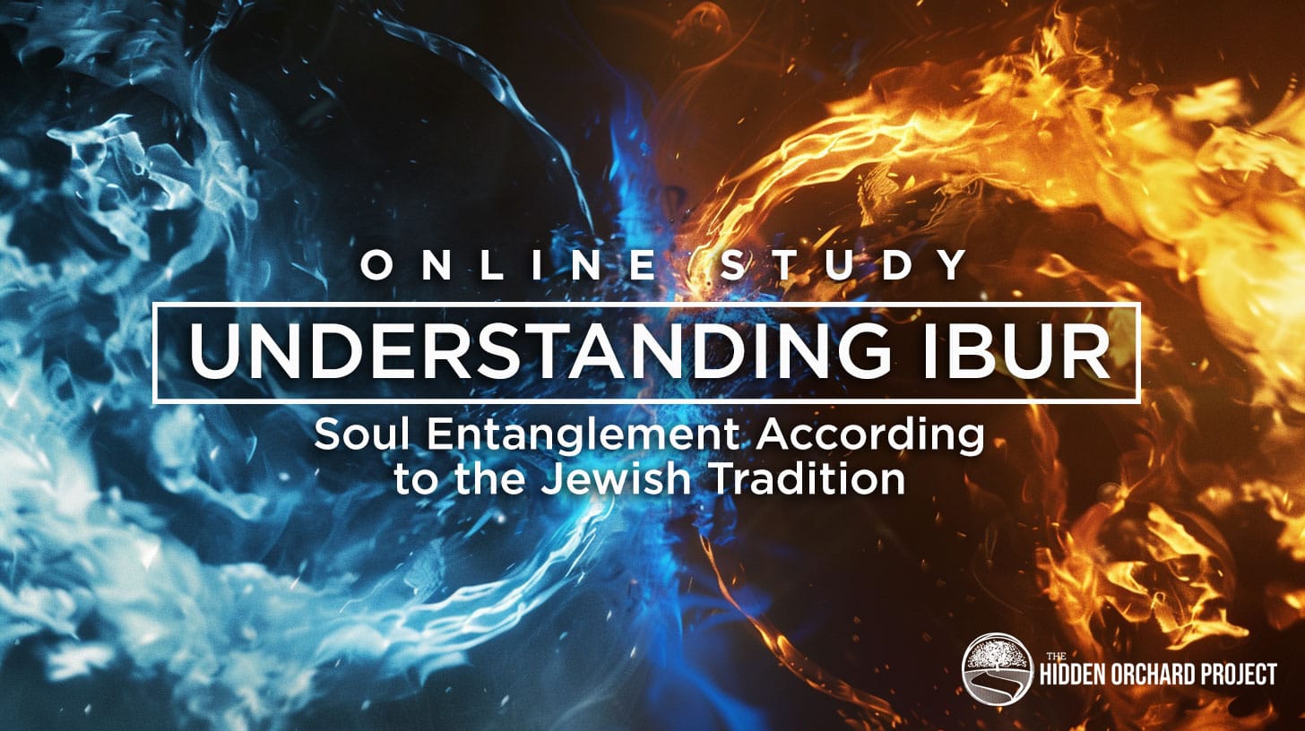 Video Replay: Understanding Ibur Online Study Session