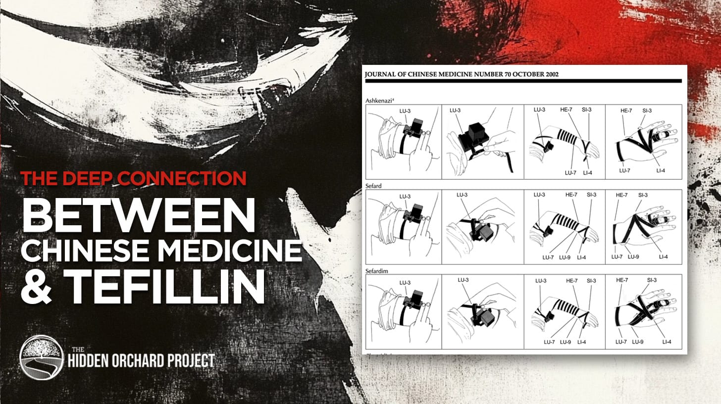 The Deep Connection Between Chinese Medicine and Tefillin
