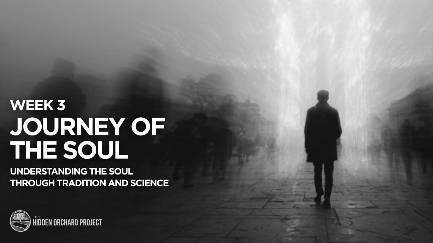 Video: The Journey of the Soul | Week 3 - After Life