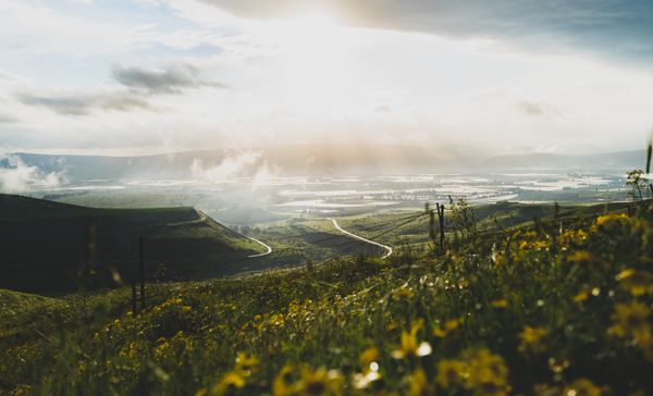 The Power of Forgiveness