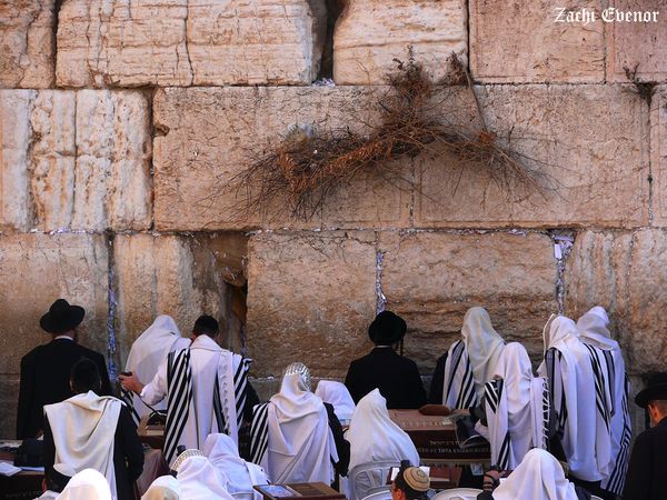 But You Are Not To Be Called "Rabbi"