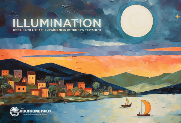 New Book Available, ILLUMINATION.