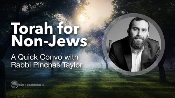 Torah for Non-Jews. A Convo with Rabbi Pinchas Taylor