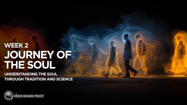 Video: The Journey of the Soul | Week 2 - During Life on Earth